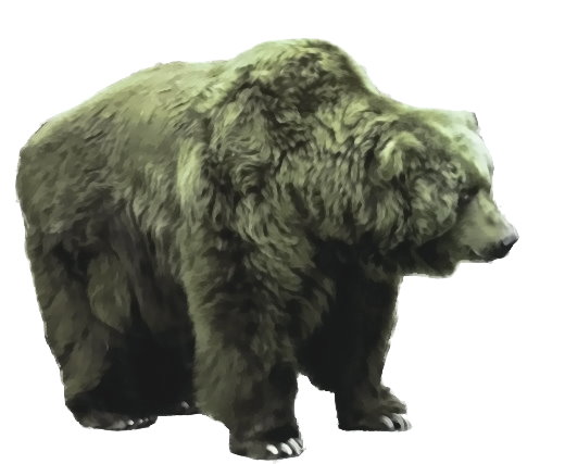 Der Bär jagt den Menschen die Beute ab!
