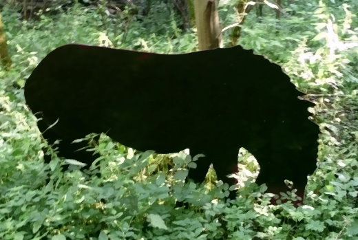 Wildpferd im Neandertal!