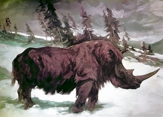 Jagd auf das Wollnashorn!